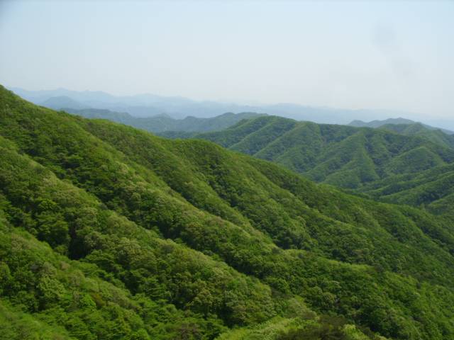 ▲김제시 모악산도립공원 친환경 산악관광지ⓒ김제시
