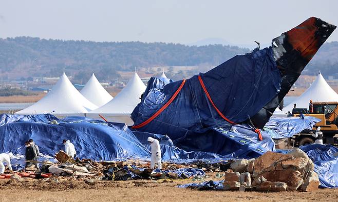 지난 1월 8일 전남 무안군 무안국제공항에서 합동조사단 관계자들이 꼬리 날개 주변을 살피고 있다. 연합뉴스