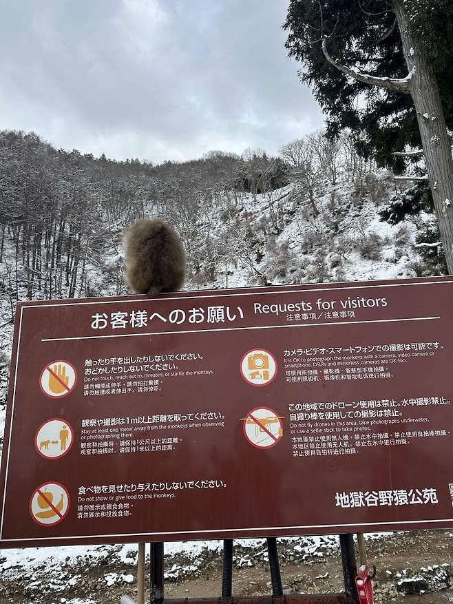 viewimage.php?id=23b2db27ebc637&no=24b0d769e1d32ca73de884fa1bd6253194dd6d0fcd22fa9acf7ca3b80b2032abde92fb2b7d2f04bb3122f93202451e79b319a22585c3902fc420b60c59b04ff8b12ac7