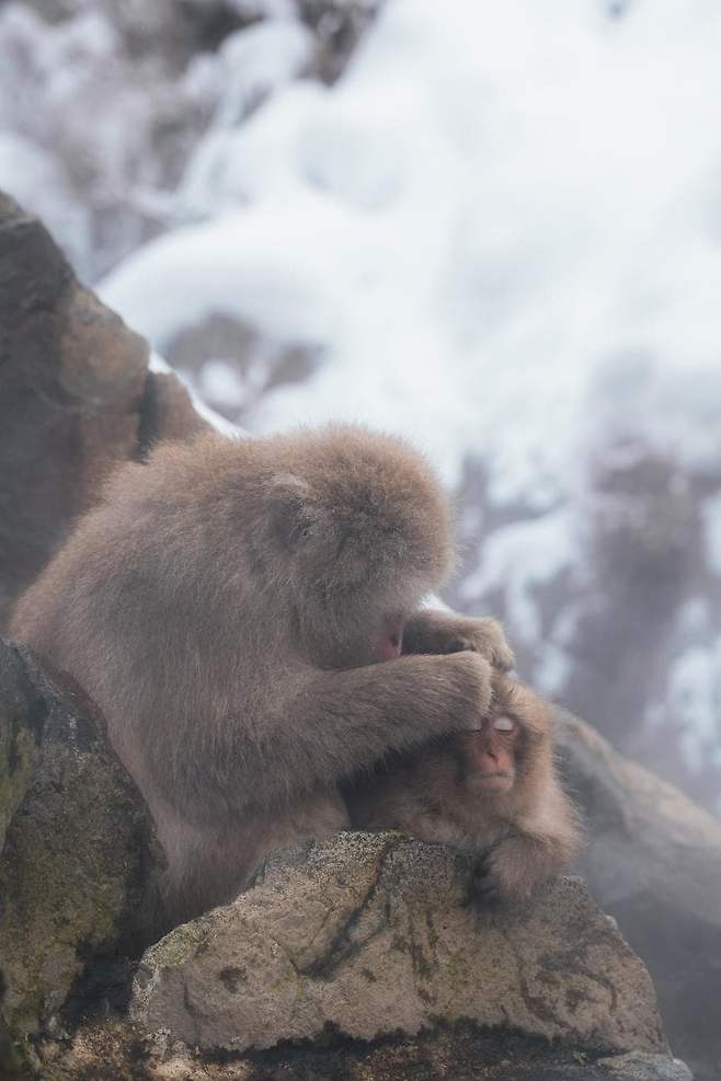 098ef376b78669f323ee98bf06d60403d9dea16fd172c2bd52f85a