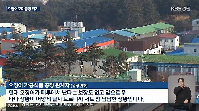 진미채, 오징어 안주, 등등 오징어 가공류 근황 ㄷㄷ.jpg