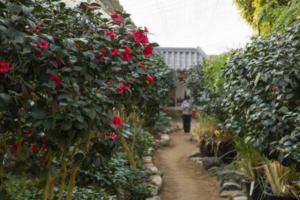 가평 이화원. 경기관광공사 제공