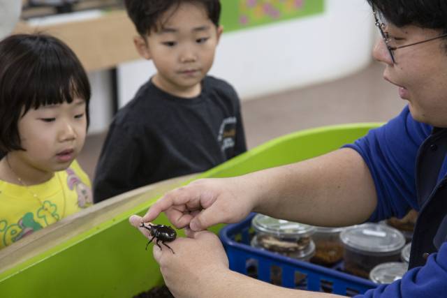시흥 ‘벅스리움’. 사진 제공 = 경기관광공사