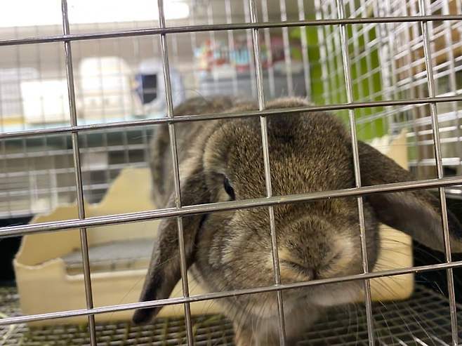 089b8707c0821cf423e9f5ed339c70643738ef2c32f7a5827b9441eca316fcdd45b527d048a12d0a9df827dd81e4353f76dd2100