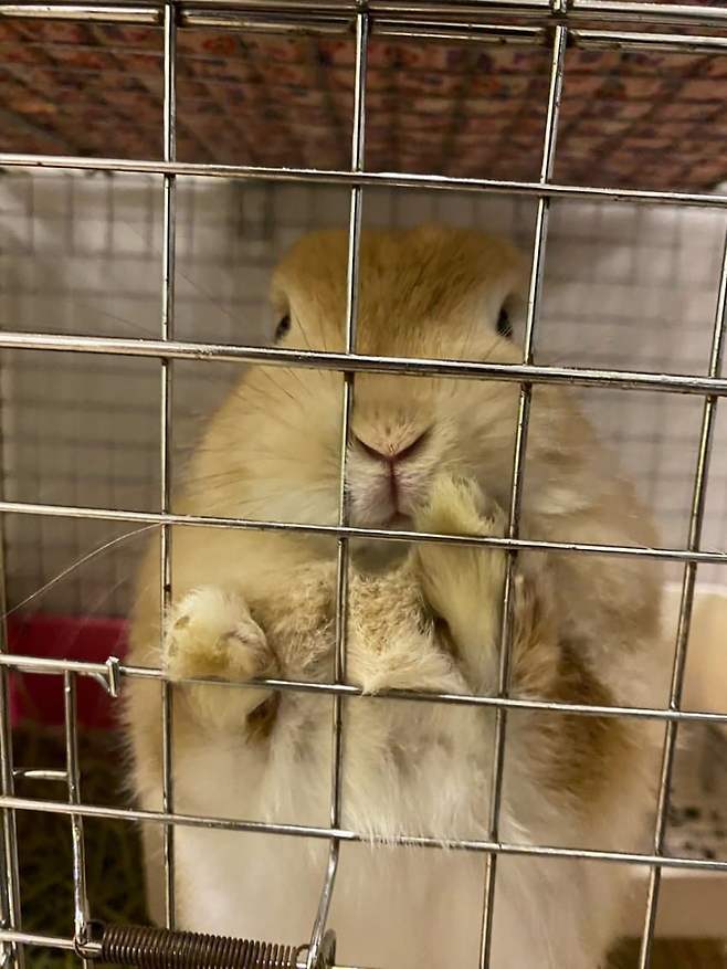 7cec817fc7f16efe239bf397479c706f20aba8006457383b45d88fd12f72ebac8bf88e641eeb28bc701610d2379cbf09760daf94