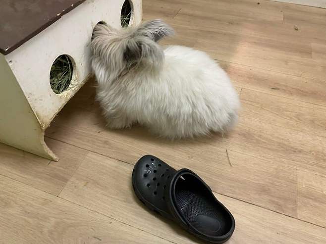 089b887fb1f46df723ee8f93439c7069aaa6f672a79cb7ed26aa5a721bb6419b0d144a255faa081d460e1cd16eea24feafc11606