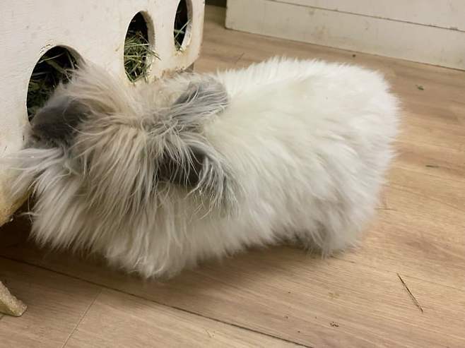 7dedf272b7836af723eef3e4359c7065ce099d7ea1430d5fbd392c844dc6337018818e6e22fb3fcabba6dffdbfdf922f4109cd27