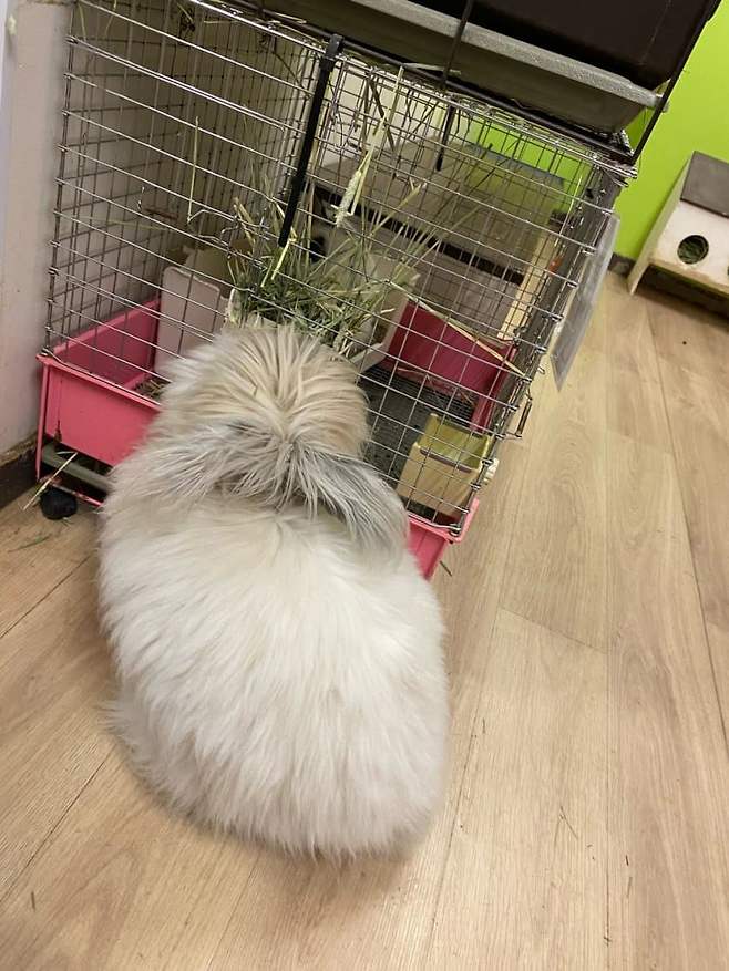 7bec8507b3806ff723e9f4964e9c706a43463fe628b15e16531f66f12dda61587d2937856ae060d07ac007384949c8eda8316158