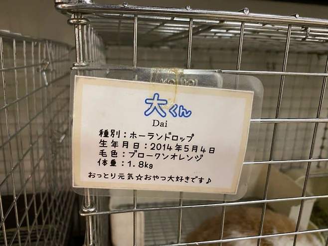 7a9f8772b5f7198323eaf5ec4e9c701ff5fa9cadda625941c364bbc58d2f48808c84809757c78f3d5fe63f3b0e08e1fa7d119568