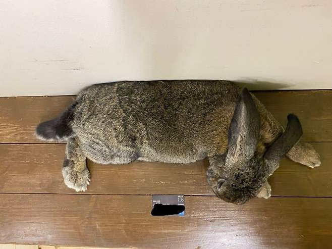 09998002b78119ff23e684e1419c706ae0d653144f0c3afd4fd1a5826d4b6bd0a496875a17620d26b3b2e1e60ed0f57fd2dc0ce0