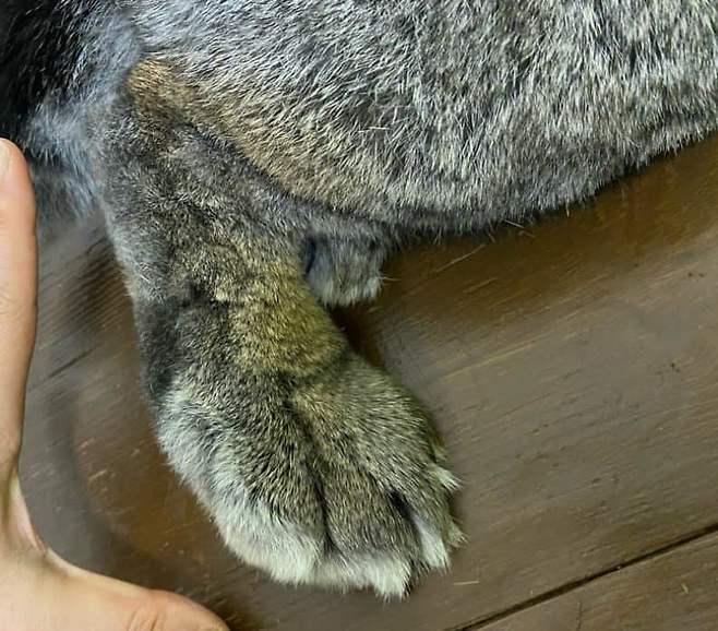 7fe98704b0826dfe23eb8ee5469c7019cc57db6f3c43e808958cb19d153d9cfc804127ecafd291923846769d452f2558ef42c210