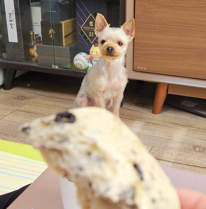 20250208_132235.jpg 점심 코스트코 쇼핑 정보와 떡볶이