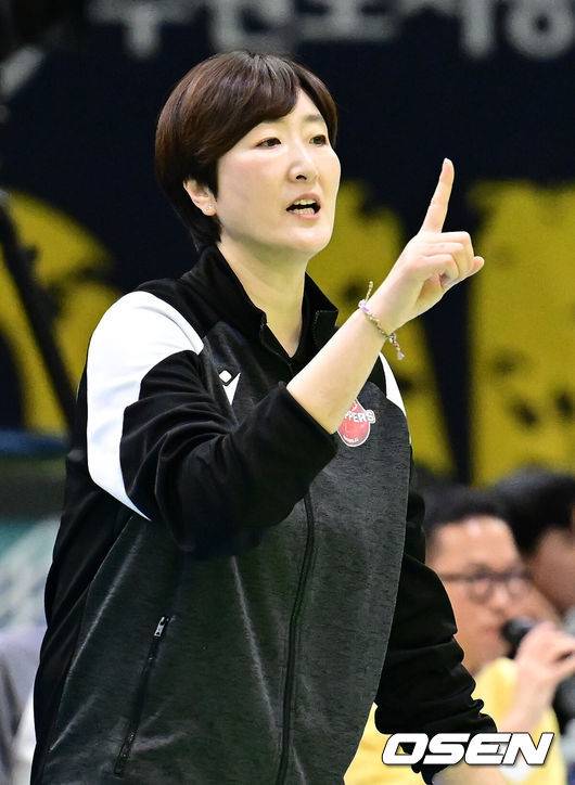 OSEN DB