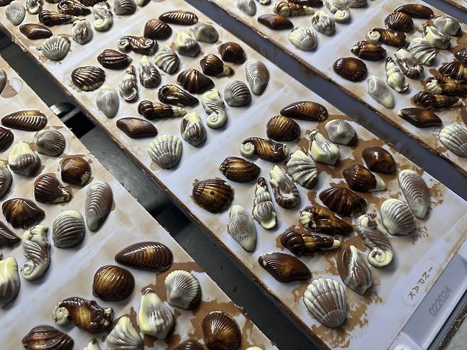 자동화 설비에서 제조 중인 길리안 초콜릿 (신트니클라스[벨기에]=연합뉴스) 정빛나 특파원 = 지난 7일(현지시간) 벨기에 신트니클라스에 있는 길리안 공장에서 초콜릿이 제조되는 모습. 2025.2.9 shine@yna.co.kr