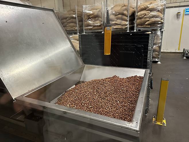 '출입금지' 길리안 공장의 헤이즐넛 보관소 (신트니클라스[벨기에]=연합뉴스) 정빛나 특파원 = 7일(현지시간) 벨기에 신트니클라스에 있는 길리안 공장 내 헤이즐넛 원두 보관소를 외부에서 찍은 모습. 이곳 보관소는 오염, 훼손 등 방지를 위해 출입이 엄격히 제한됐다. 2025.2.9 shine@yna.co.kr