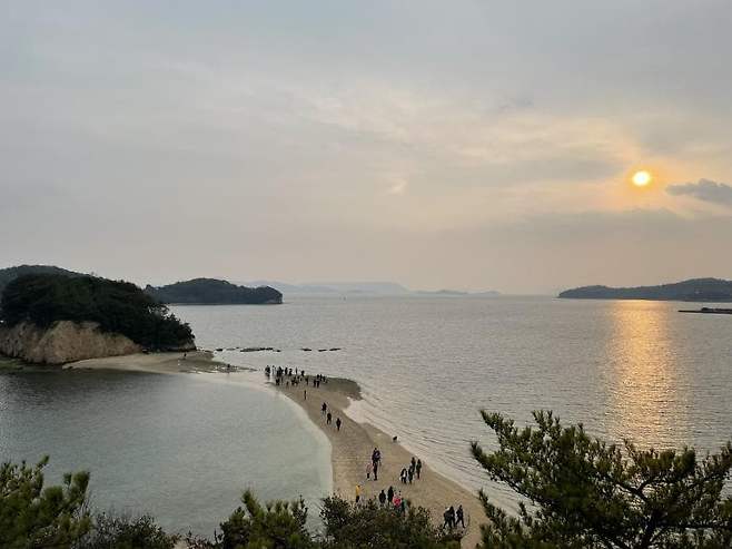 7fe59e2cf5d518986abce8954088716ad990