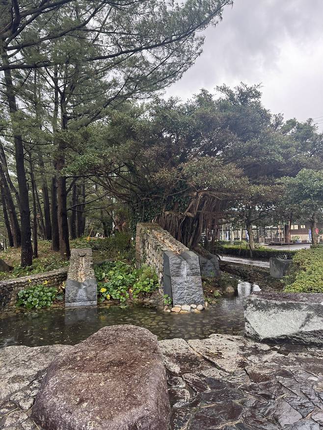 P20241228_152655508_F1BB290C-7B4B-48CE-9234-2713C0D45FDF.jpg 스압) 30살 기념 나홀로 야쿠시마 여행 [3일차-야쿠시마]