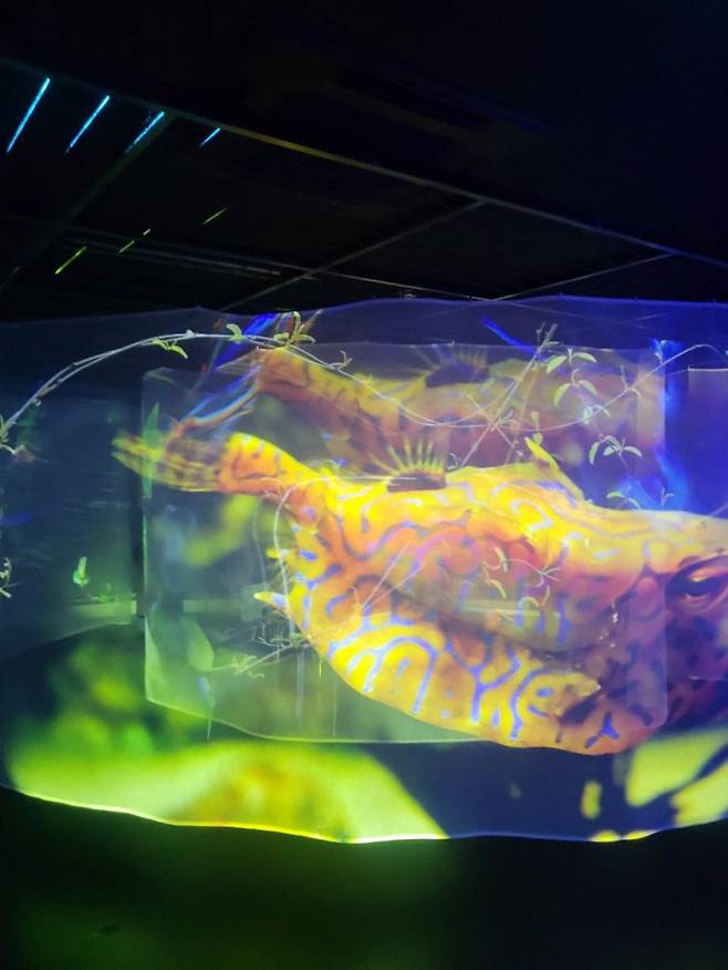 세이코엡손 토요시나 사무소 VIX 센터 '판타스 아쿠아리움' 사진=장민권 기자