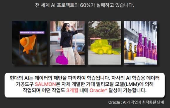 인공지능 학습용 데이터 가공도구 'SALMON'. [사진=애자일그로스]