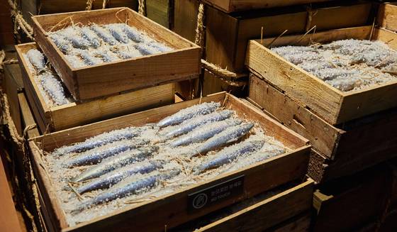 소중 학생기자단이 정어리의 최대 어획국이었던 조선을 표현한 모형도 살펴봤다.