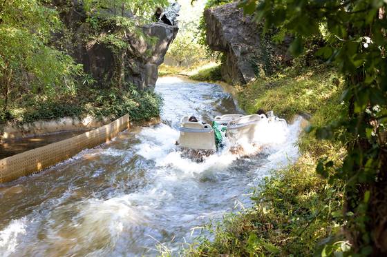 Water attraction Amazon Express in Everland in Yongin, Gyeonggi [EVERLAND]