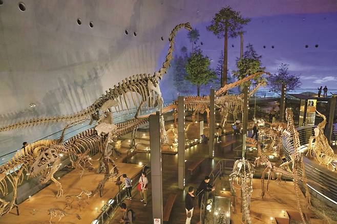 실물 크기의 공룡 골격들을 볼 수 있다