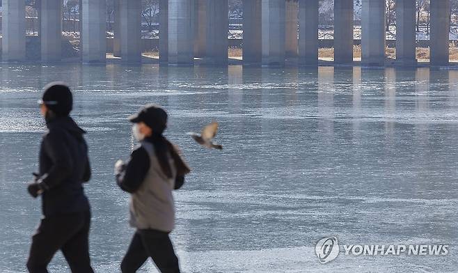 한강 올겨울 첫 결빙, 1906년 관측이래 두 번째로 늦어 (서울=연합뉴스) 황광모 기자 = 입춘 추위가 일주일째 계속되면서 한강 결빙이 공식 발표된 9일 서울 용산구 노들섬 내 한강 결빙 관측지점에서 바라본 한강대교 일대 한강 수면이 얼어 있다.
      기상청은 이날 올겨울(2024년 12월부터 2025년 2월까지) 처음 한강이 결빙됐다고 밝혔다. 기상청은 서울 동작구와 용산구를 잇는 한강대교 두 번째와 네 번째 교각 사이 상류 100ｍ 지점에 설정한 가상의 직사각형 구역이 완전히 얼음으로 덮여 강물이 보이지 않으면 한강이 결빙됐다고 발표한다. 2025.2.9 hkmpooh@yna.co.kr