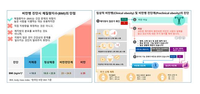 비만명 진단시 BMI 단점 및 임상적 비만병, 비만병 전단계의 진단.