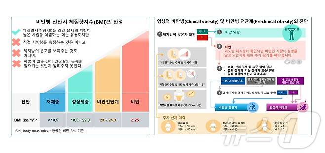 비만명 진단시 BMI 단점 및 임상적 비만병, 비만병 전단계의 진단(임수 분당서울대병원 제공)