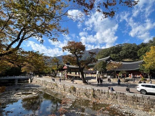 출처-경남 양산