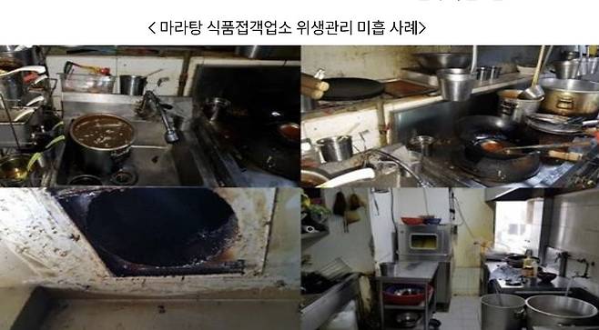 사진 식품의약품안전처 자료 캡처
