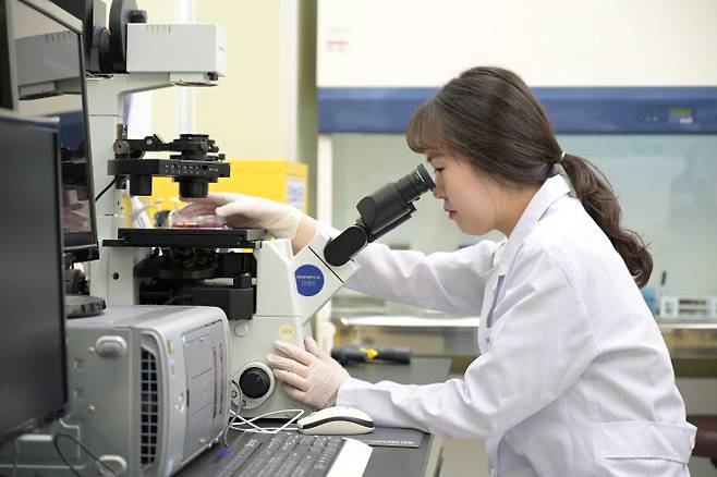 KGC인삼공사 R&D본부 천연물효능연구소 연구원이 홍삼을 이용한 연구를 진행하고 있다.