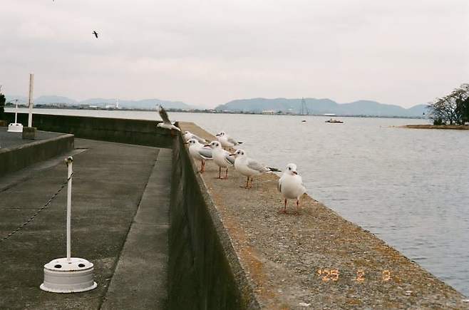 7ded8174bc8b6fff3eef86e658db343afd06e79cb33143ee39827367