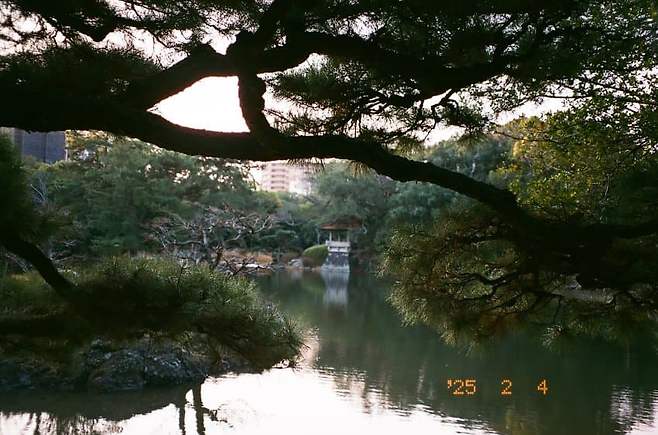 7ded8174bc8b6fff3eef87e758db343a593ce7db8d628fccb21934b8