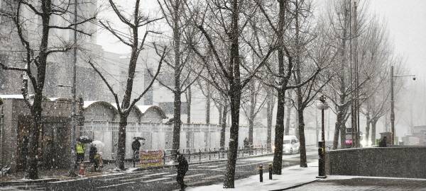 눈 내리는 정부서울청사 뒤편. 샤오미 14T로 촬영. 정옥재 기자