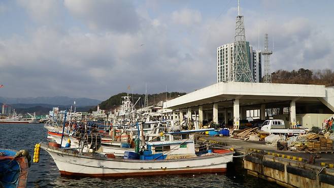 ‘대게 원조 마을’이라는 울진의 자존심을 상징하는 후포항.  국내 최대 대게잡이 어항으로 꼽힌다      울진｜김재범 기자 oldfield@donga.com