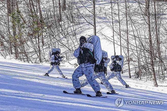 해병대 수색대대, 25년 동계 설한지 훈련 실시 (서울=연합뉴스) 해병대 수색대대 장병들이 지난 4일부터 28일까지 진행되는 25년 동계 설한지 훈련에서 팀단위 대형을 유지한 채 노르딕 스키를 활용해 신속하게 기동하고 있다. 2025.2.12 [해병대 제공. 재판매 및 DB 금지] photo@yna.co.kr