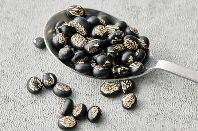 컬리에서 판매 중인 아주까리 검정밤콩/사진제공=컬리