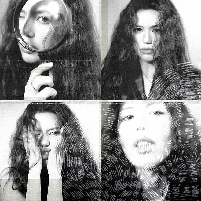 사진=엠플리파이 제공.