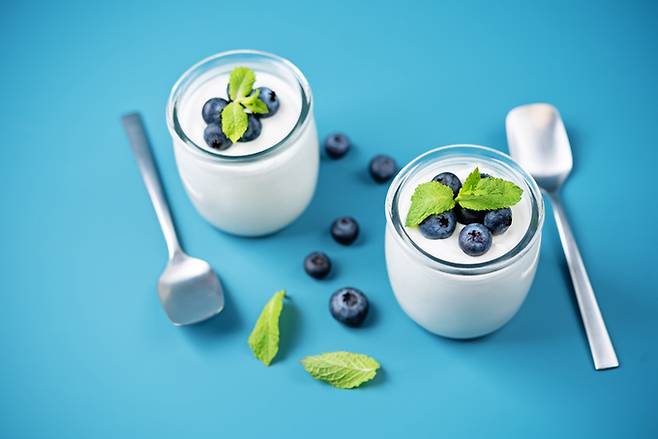 요구르트는 프로바이오틱스가 풍부하고 칼슘, 칼륨 등의 영양소도 들어있어 건강에 좋은 식품으로 꼽힌다. 게티이미지뱅크