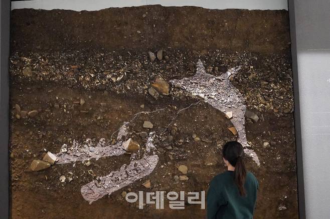 동삼동 패총 투사 영상(사진=국립중앙박물관)