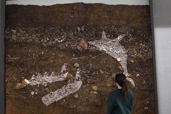 신석기실에 전시된 동삼동 패총(부산광역시 영도구에 있는 석기시대 신석기의 빗살무늬토기 등이 출토된 조개더미) 투사 영상. 국립중앙박물관 제공