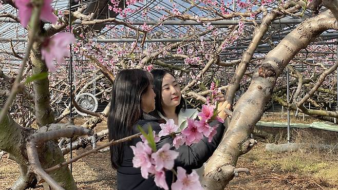 사진 제공 경북 경산시