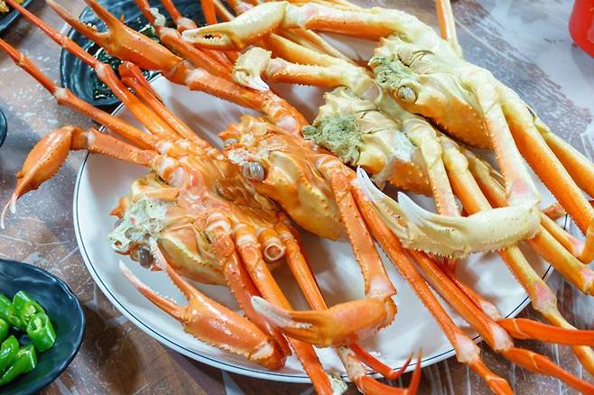 2월에 살이 통통하게 오르는 울진대게는 껍질만 빼고 다 먹을 수 있다.