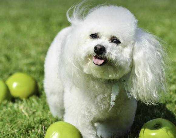 [사진=픽사베이]