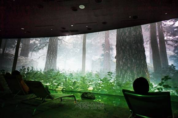 금강송 치유센터.