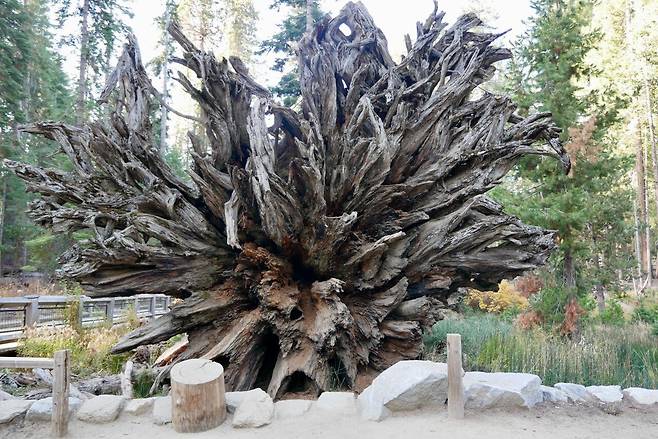 KakaoTalk_20250215_180445713.jpg [여행기]44일간 미국여행 14 / 요세미티