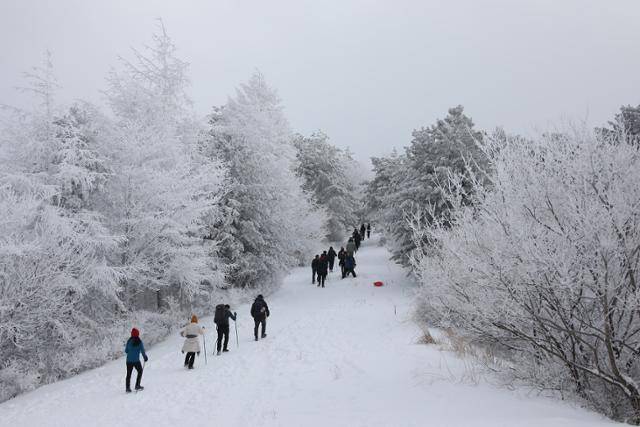 지리산 바래봉 5안전쉼터 주변 설경. 바래봉은 지리산국립공원 탐방로 중 상대적으로 쉬운 코스라 등산 초보라도 눈꽃 산행에 도전해 볼 만하다. ⓒ박준규