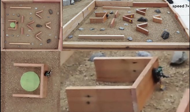 장애물을 넘어 목표지점으로 향하고 있는 사이보그 바퀴벌레. [사진=일본 오사카대]