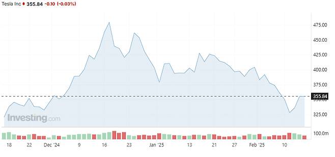 14일(현지시간) 기준 미국 뉴욕증시의 테슬라 주가 추이 /사진=인베스팅닷컴